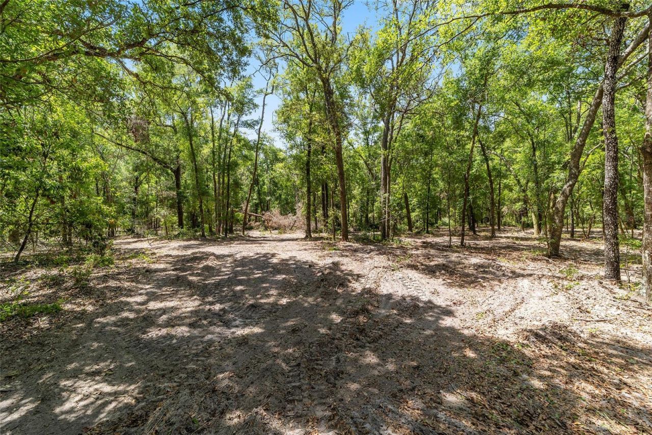 8489 NE 6th Lane, High Springs, FL 32643 Photo