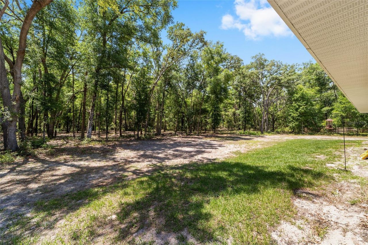 8489 NE 6th Lane, High Springs, FL 32643 Photo