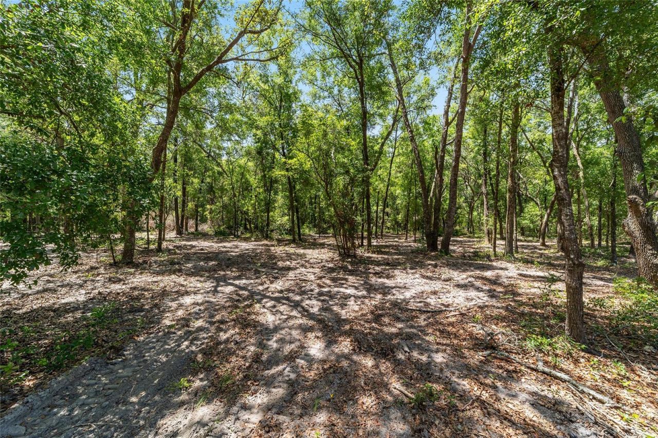 8489 NE 6th Lane, High Springs, FL 32643 Photo