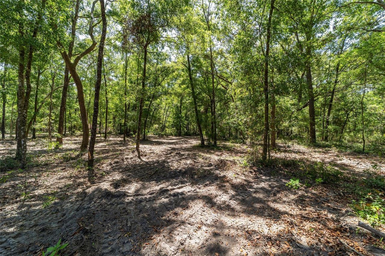 8489 NE 6th Lane, High Springs, FL 32643 Photo