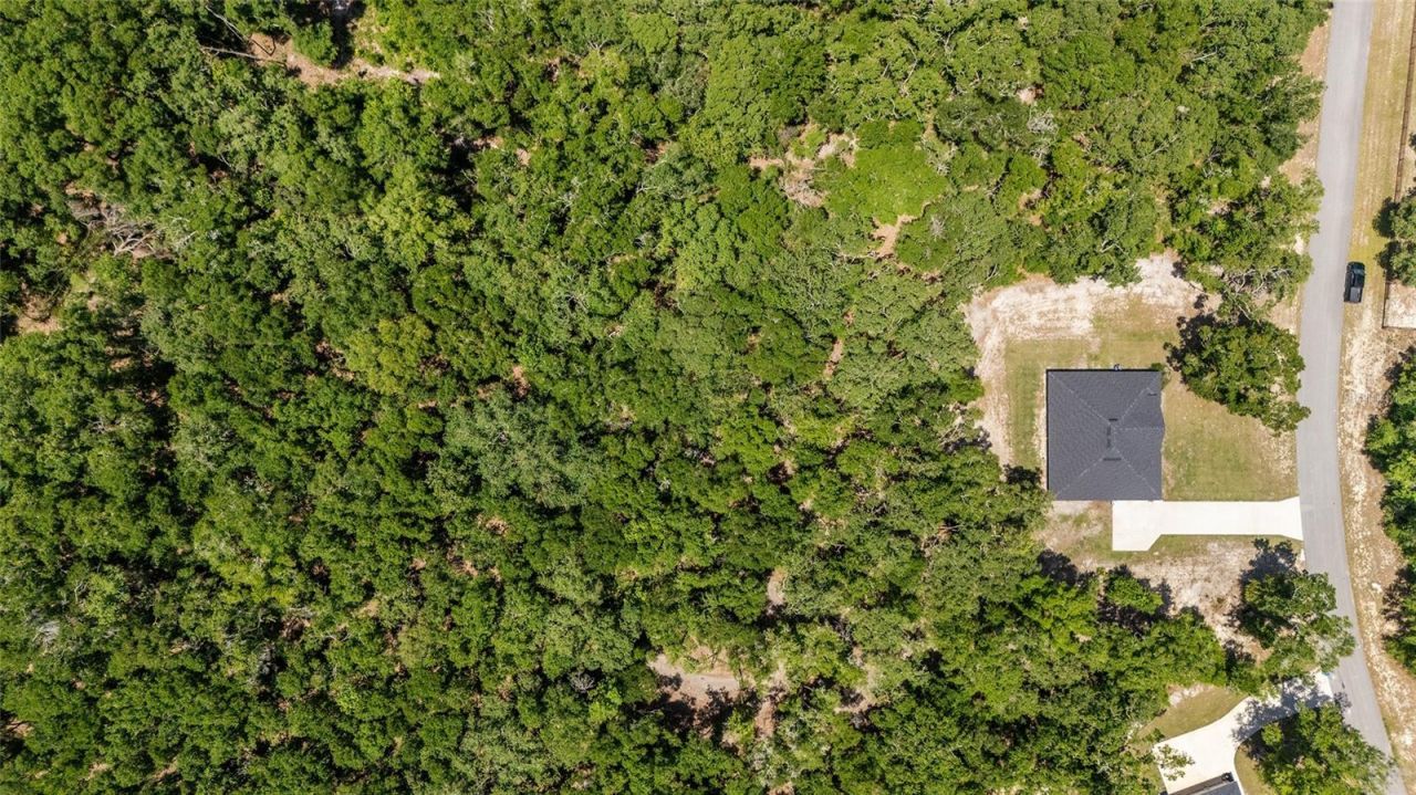 8489 NE 6th Lane, High Springs, FL 32643 Photo