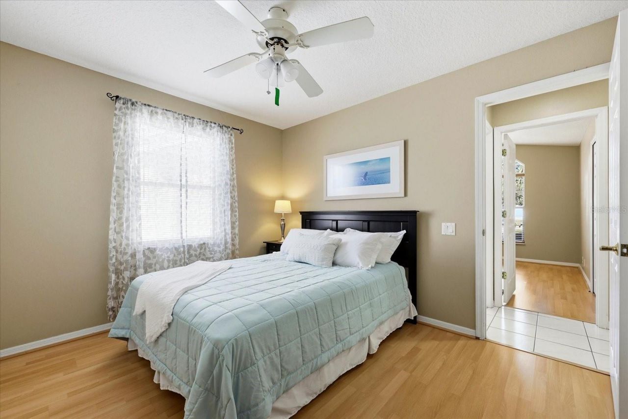 3141 Featherwood Court, Clearwater, FL 33759 Photo