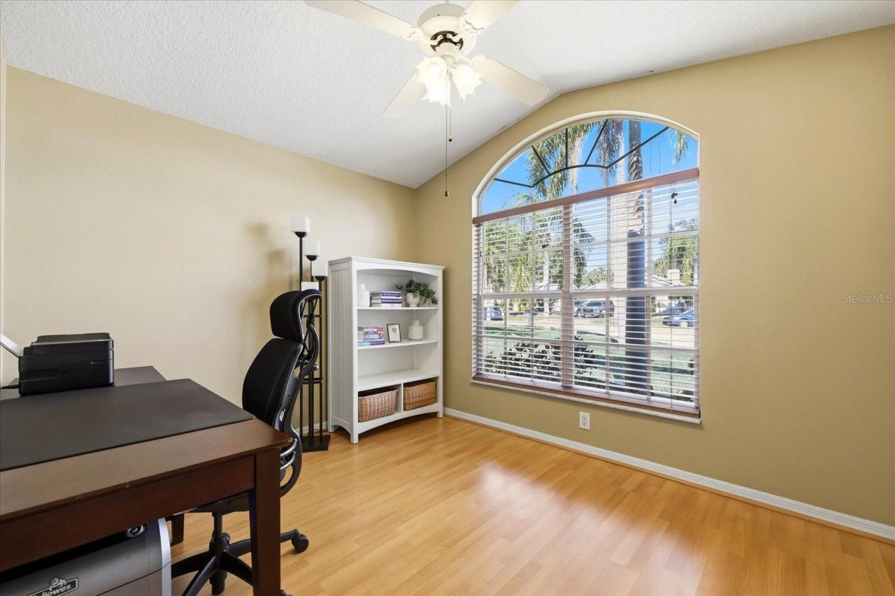 3141 Featherwood Court, Clearwater, FL 33759 Photo