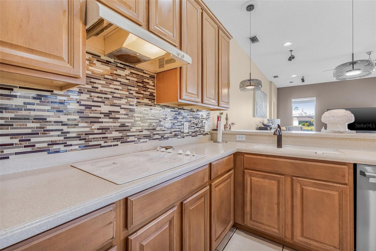 4315 70th Avenue E, Ellenton, FL 34222 Photo