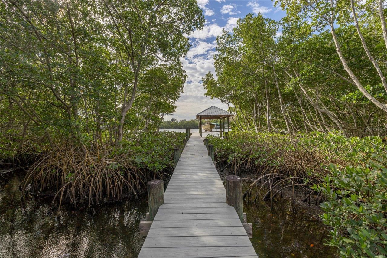 734 Weedon Drive Ne, Saint Petersburg, FL 33702 Photo