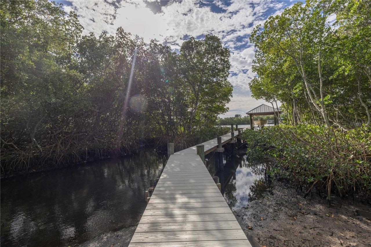 734 Weedon Drive Ne, Saint Petersburg, FL 33702 Photo