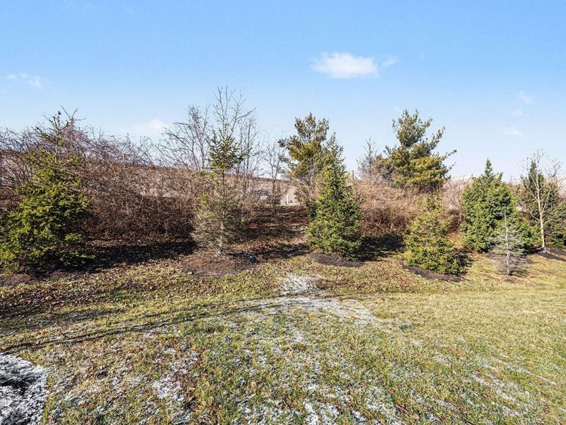 2060 Tanners Cove Road, Hebron, KY 41048 Photo 22