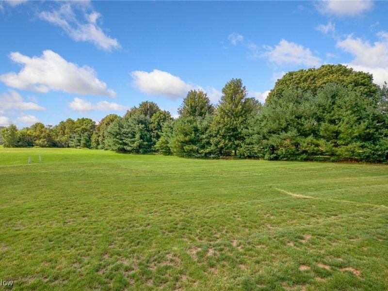 316 E Reno Drive, Louisville, OH 44641 Photo 28