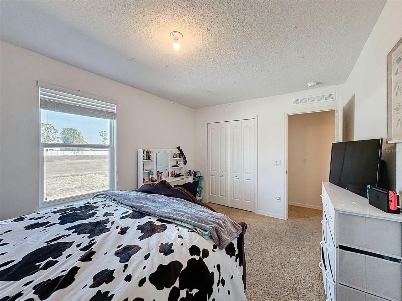 36115 Markree Castle Avenue, Dade City, FL 33525 Photo