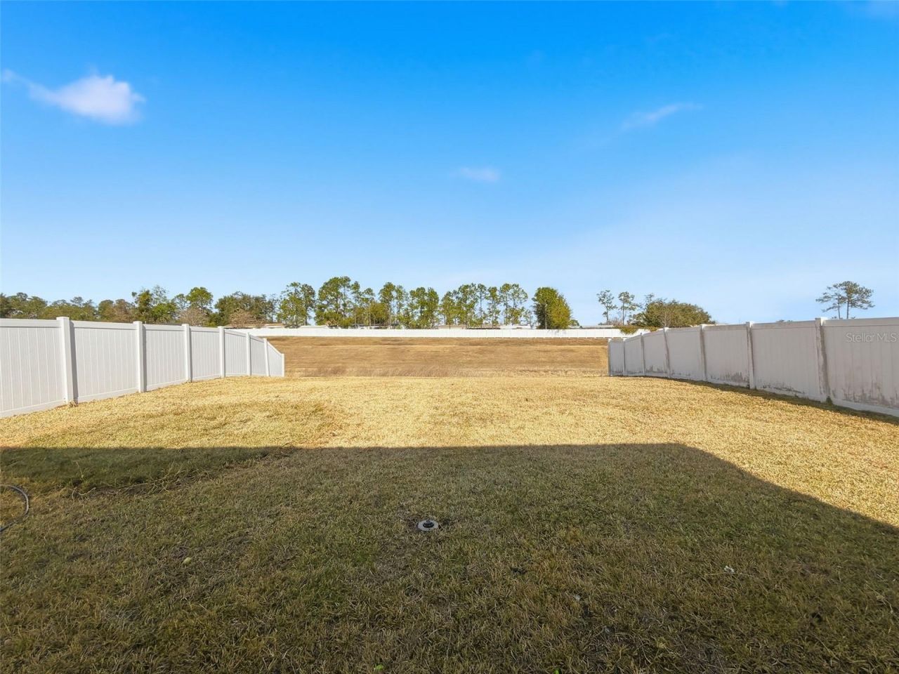 36115 Markree Castle Avenue, Dade City, FL 33525 Photo