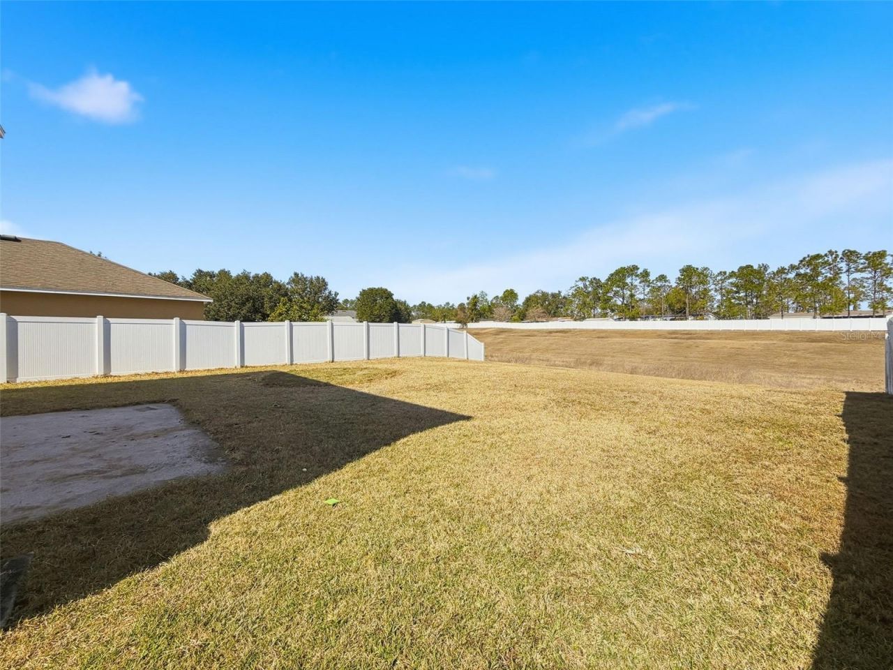 36115 Markree Castle Avenue, Dade City, FL 33525 Photo
