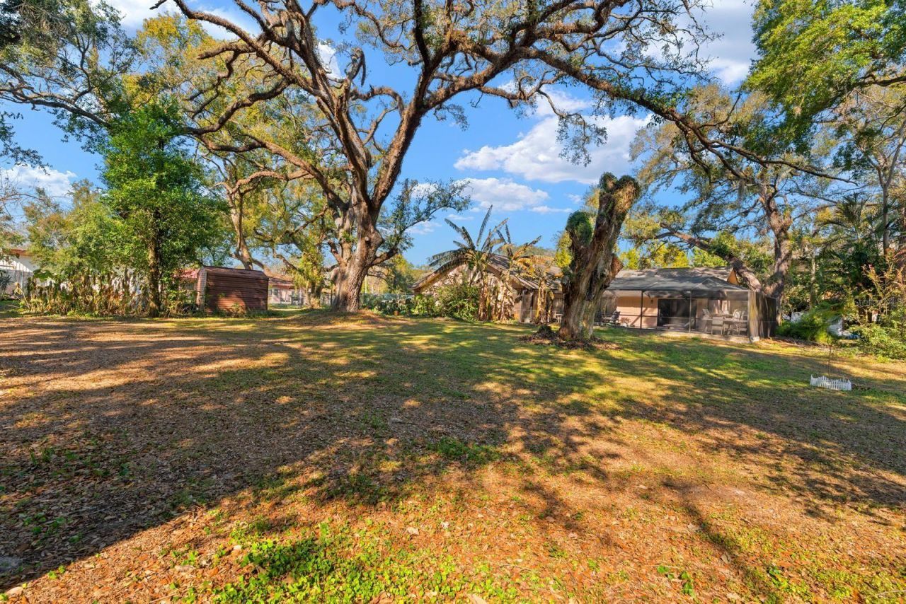 2501 E Diana Street, Tampa, FL 33610 Photo