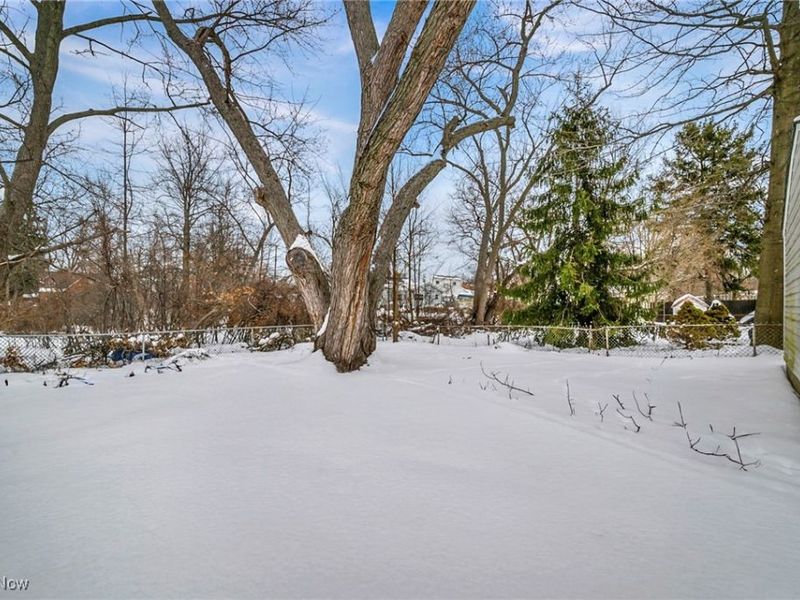 12112 Carrington Avenue, Cleveland, OH 44135 Photo 21