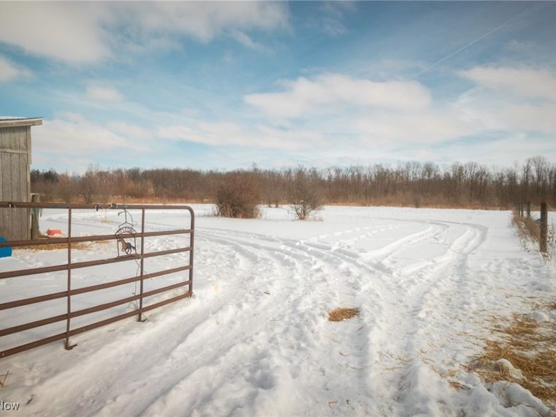 315 Township Road 581, Sullivan, OH 44880 Photo 10