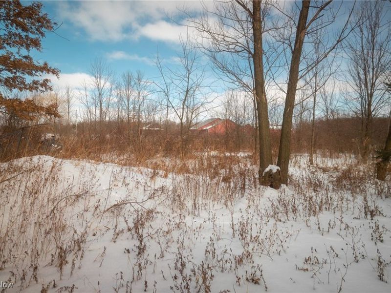 315 Township Road 581, Sullivan, OH 44880 Photo 11