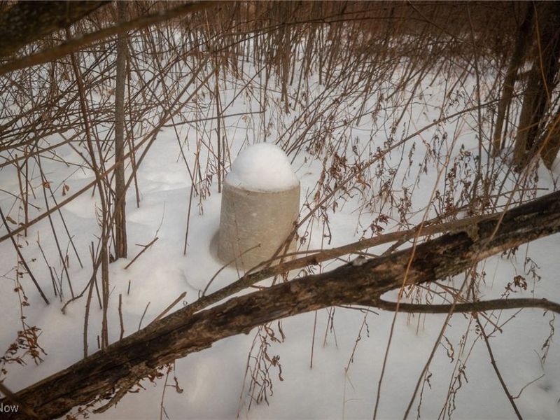 315 Township Road 581, Sullivan, OH 44880 Photo 23