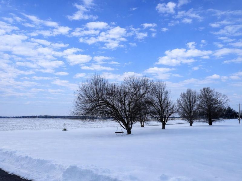 6535 Clymer Road, Mechanicsburg, OH 43044 Photo 18