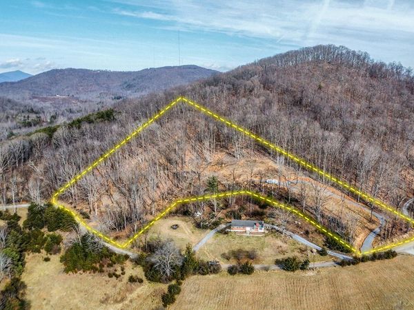 2068 Pilot Mountain RD , Moneta, VA 24121