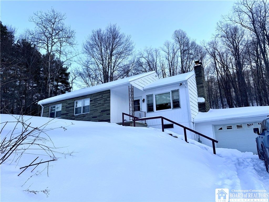 5801 Leonard Run Road, Limestone, NY 14753 Main Photo