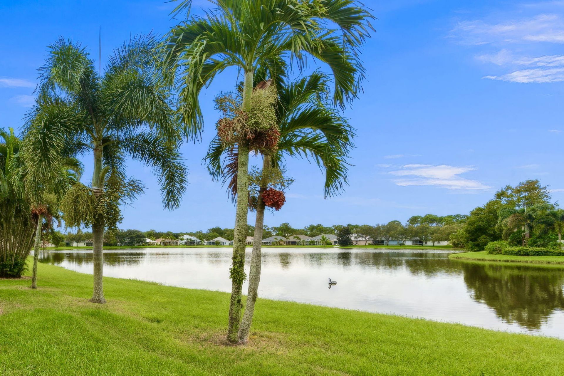 524 SW Cyrilla Trail Sw, Port Saint Lucie, FL 34953 Photo