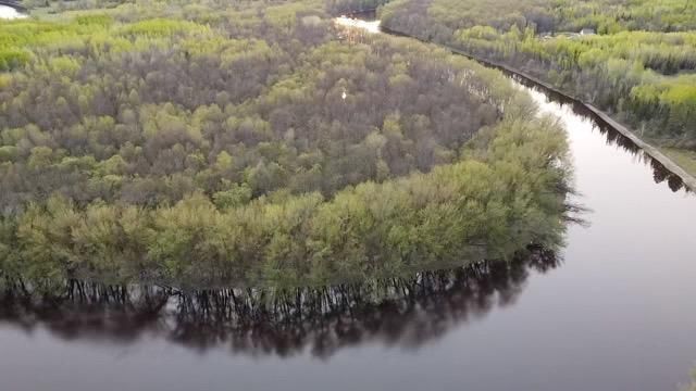 Tbd County Road 79, Littlefork, MN 56653 Main Photo