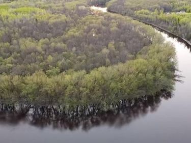 TBD County Road 79, Littlefork, MN 56653