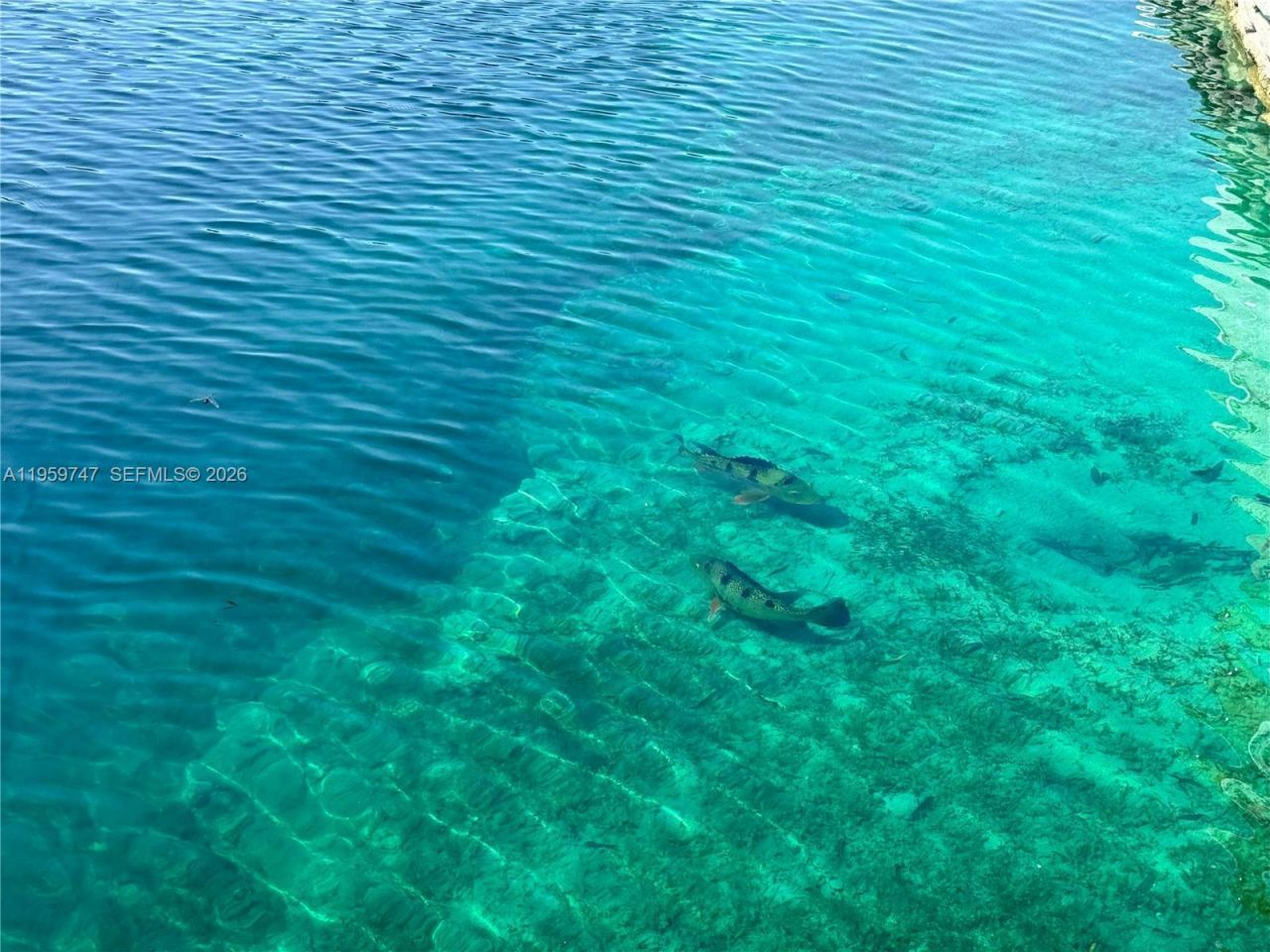 7002 Holly Rd, Miami Lakes, FL 33014 Photo