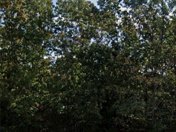 Lot 134 010-00329-000 , Briarcliff, AR 72653