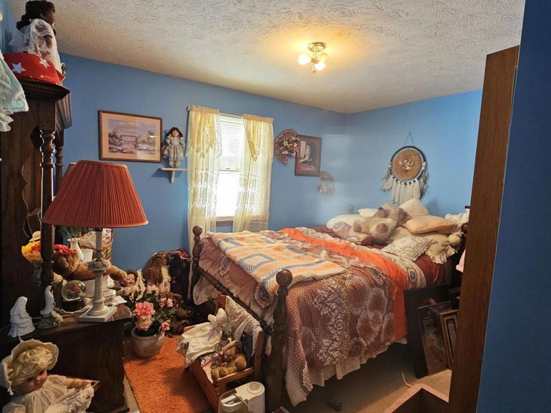 311 Harrison Street, Fort Recovery, OH 45846 Photo 18