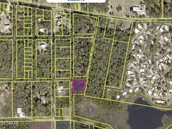 Lot 10 Reynolds Road, DeLeon Springs, FL 32130