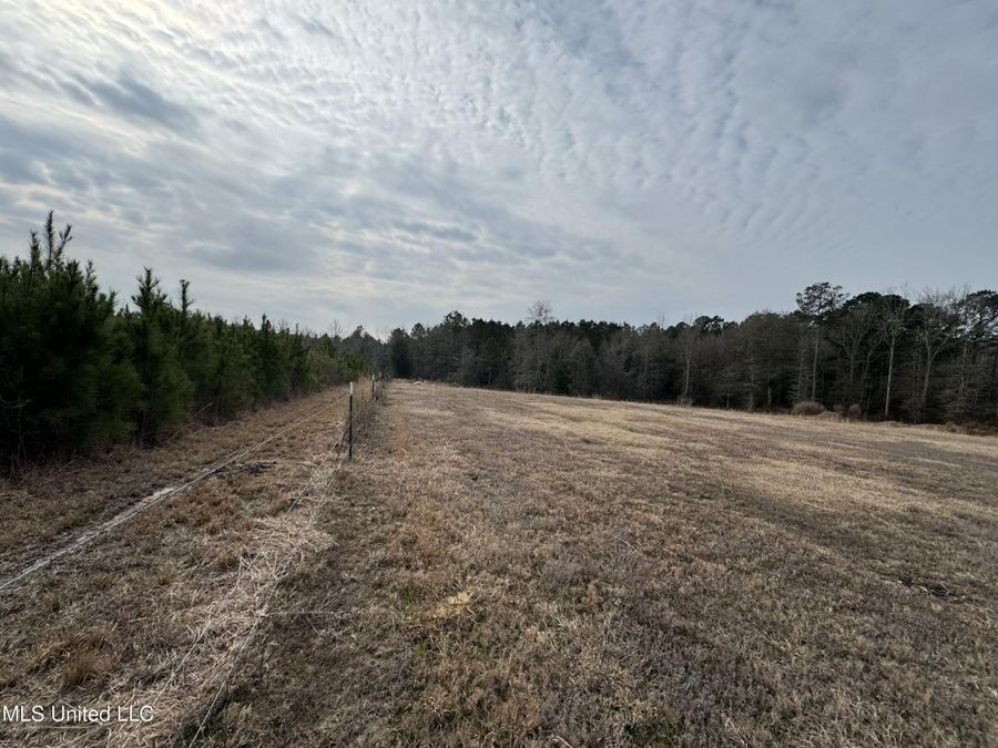 Property Image 66