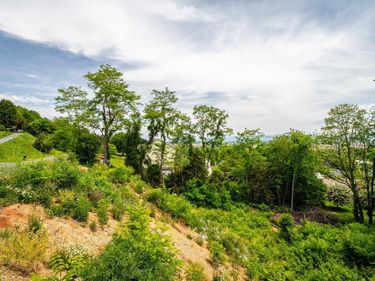 VALLEY VIEW DR, Unit 22, MOUNT SIDNEY, VA 24467