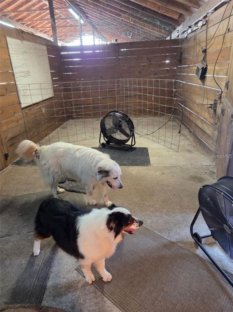 700 Old Geneva Road, Geneva, FL 32732 Photo