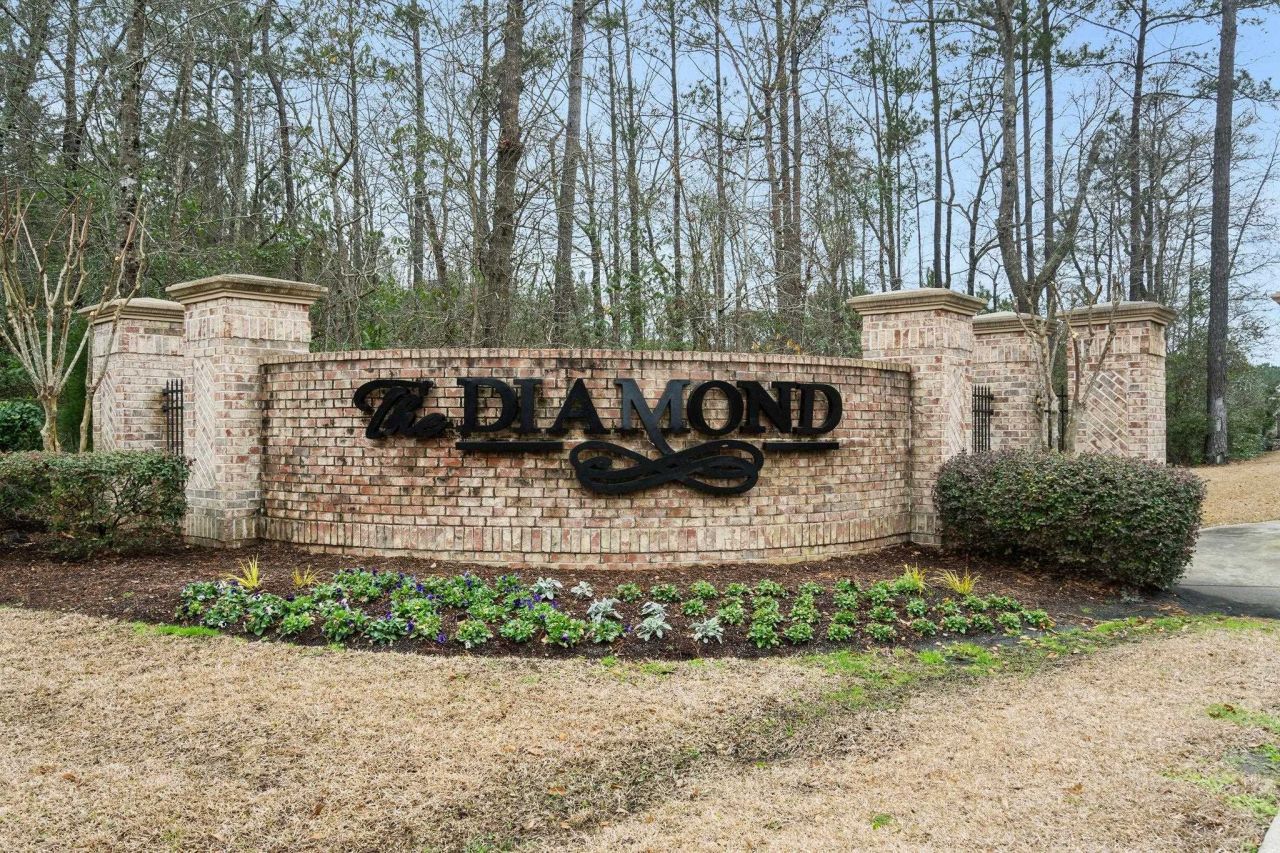 1086 Dinger Ct. Photo 48