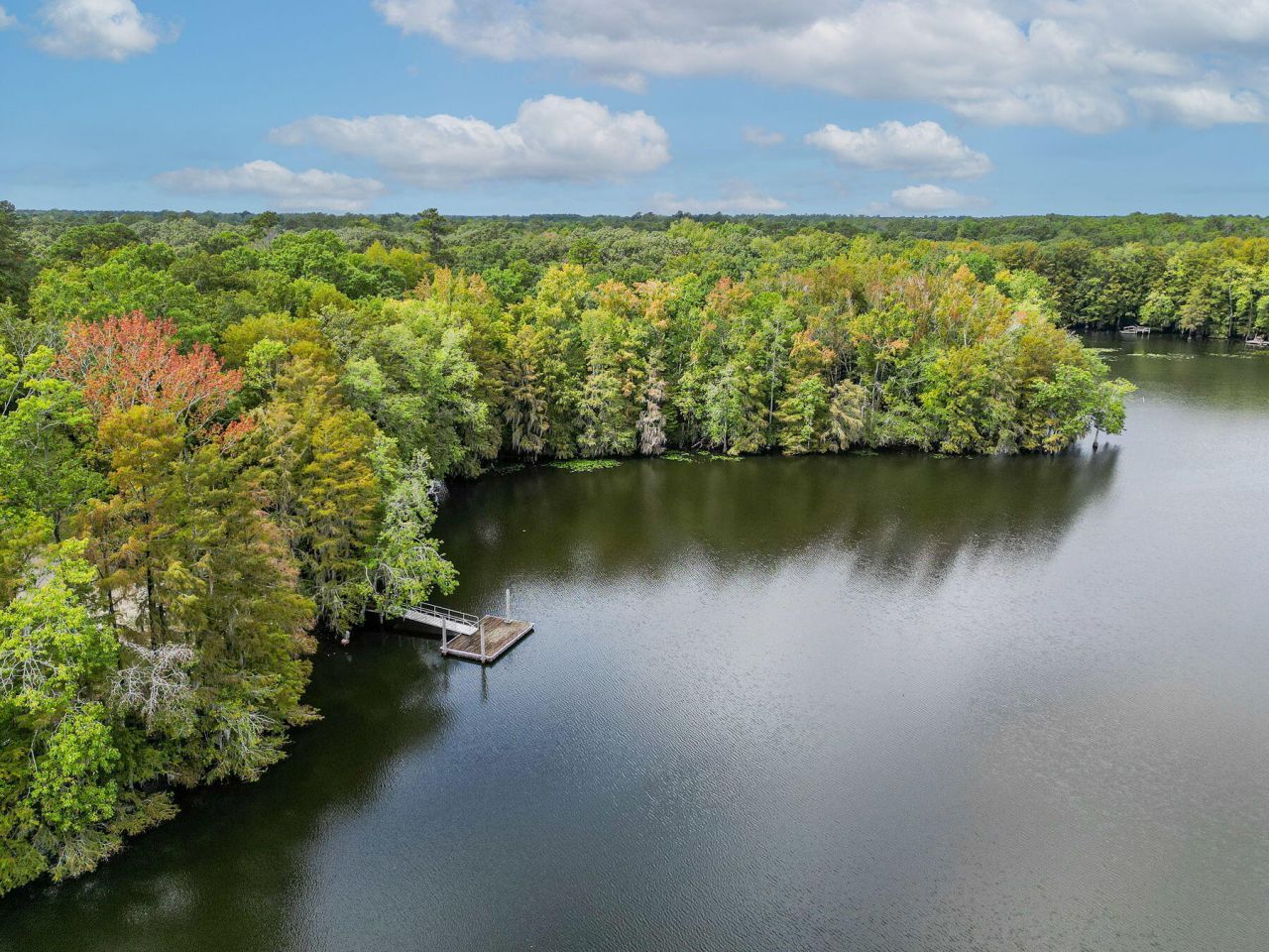 138 Twisted Oak Trail Photo 106