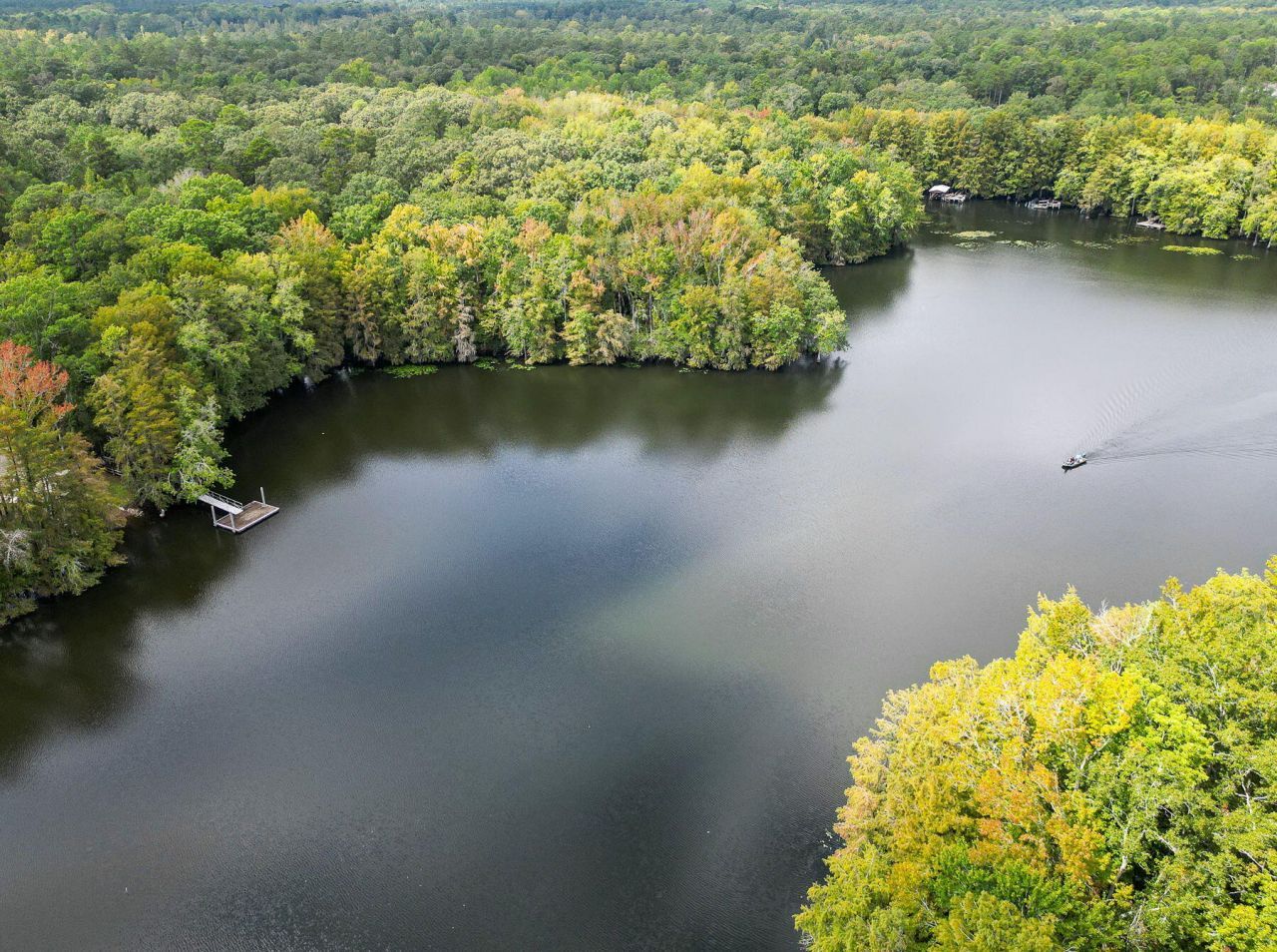 138 Twisted Oak Trail Photo 108