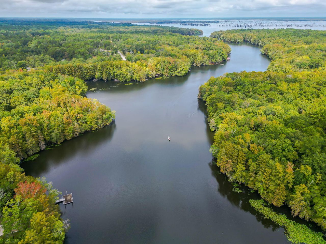 138 Twisted Oak Trail Photo 109