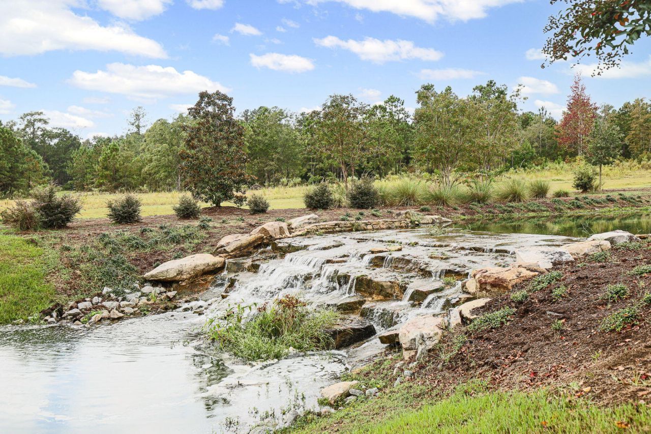 138 Twisted Oak Trail Photo 81