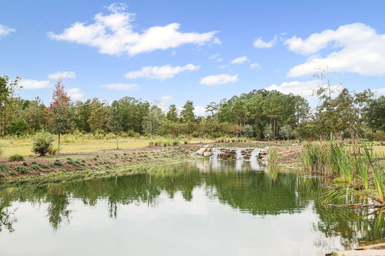 138 Twisted Oak Trail Photo 85