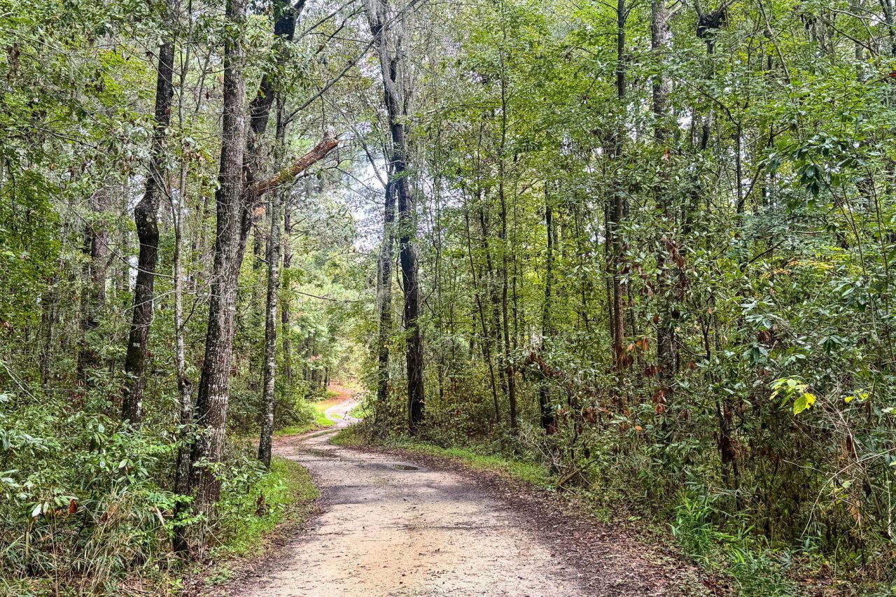 138 Twisted Oak Trail Photo 86