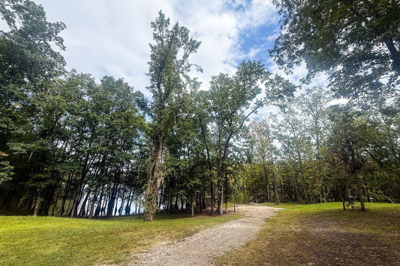 138 Twisted Oak Trail Photo 87