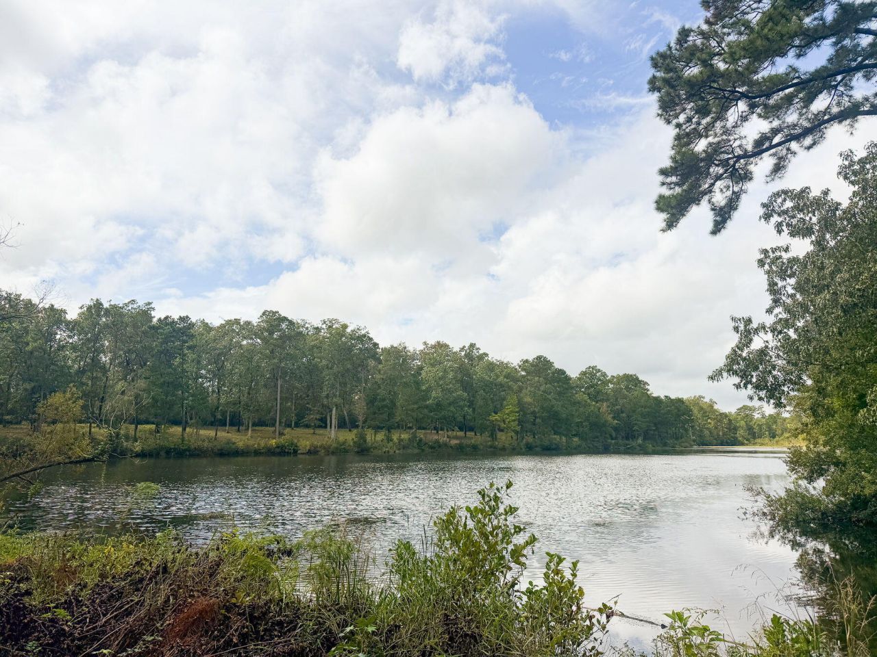 138 Twisted Oak Trail Photo 93