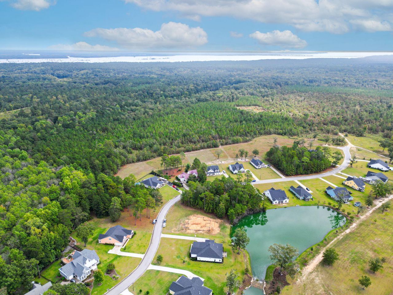 138 Twisted Oak Trail Photo 99