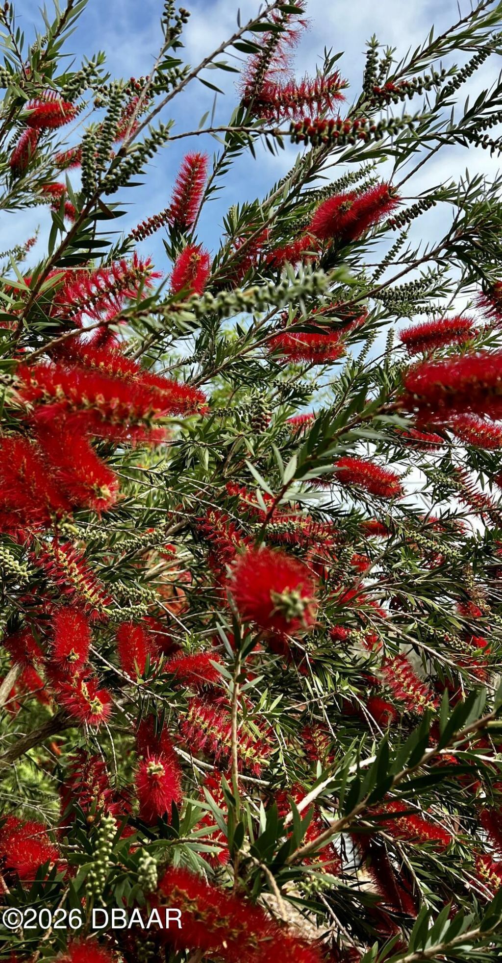 615 Art Center Avenue, New Smyrna Beach, FL 32168 Photo