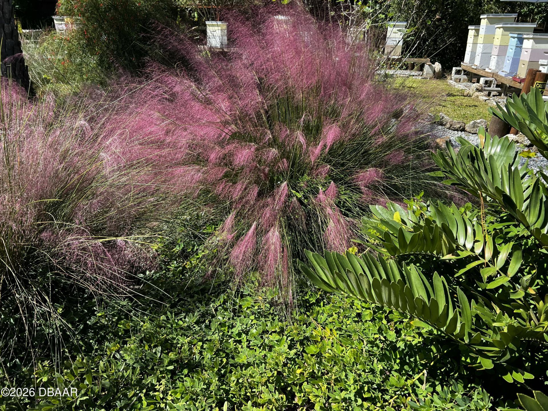 615 Art Center Avenue, New Smyrna Beach, FL 32168 Photo