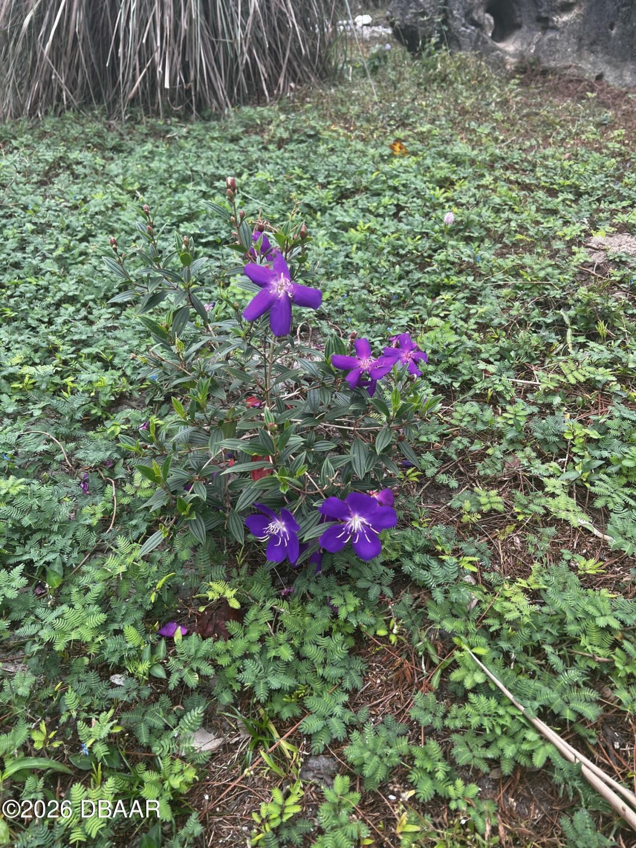 615 Art Center Avenue, New Smyrna Beach, FL 32168 Photo