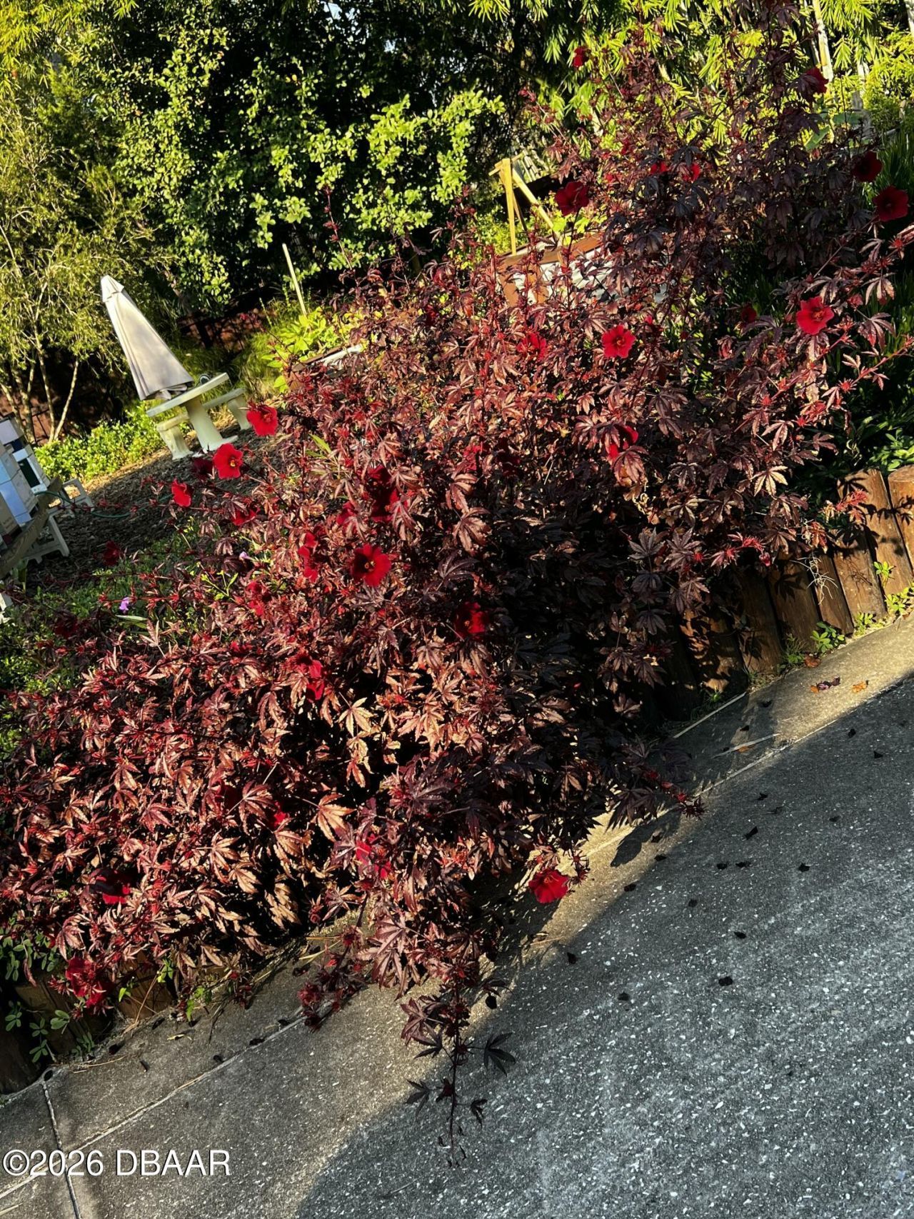 615 Art Center Avenue, New Smyrna Beach, FL 32168 Photo