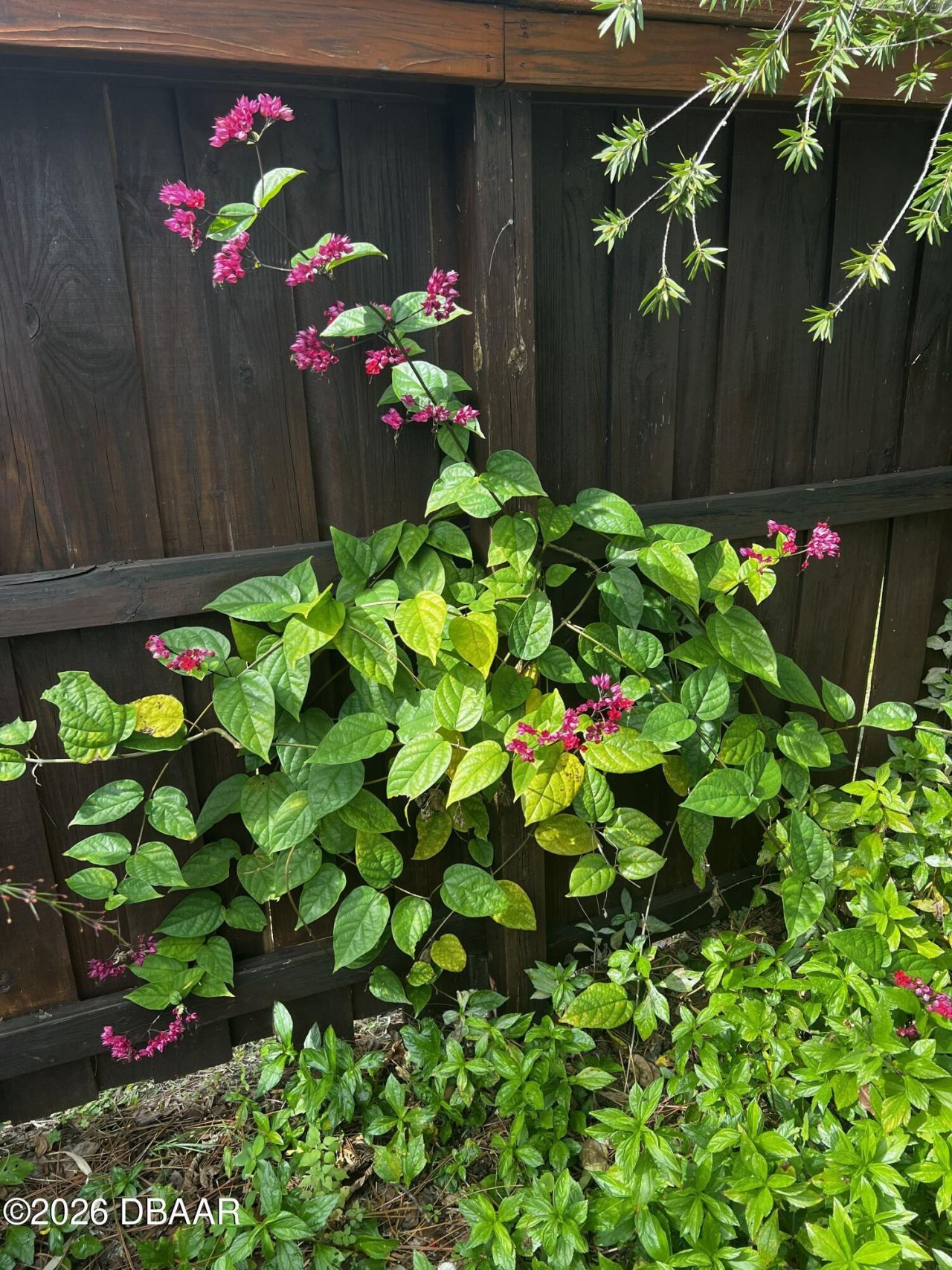 615 Art Center Avenue, New Smyrna Beach, FL 32168 Photo