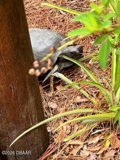 615 Art Center Avenue, New Smyrna Beach, FL 32168 Photo