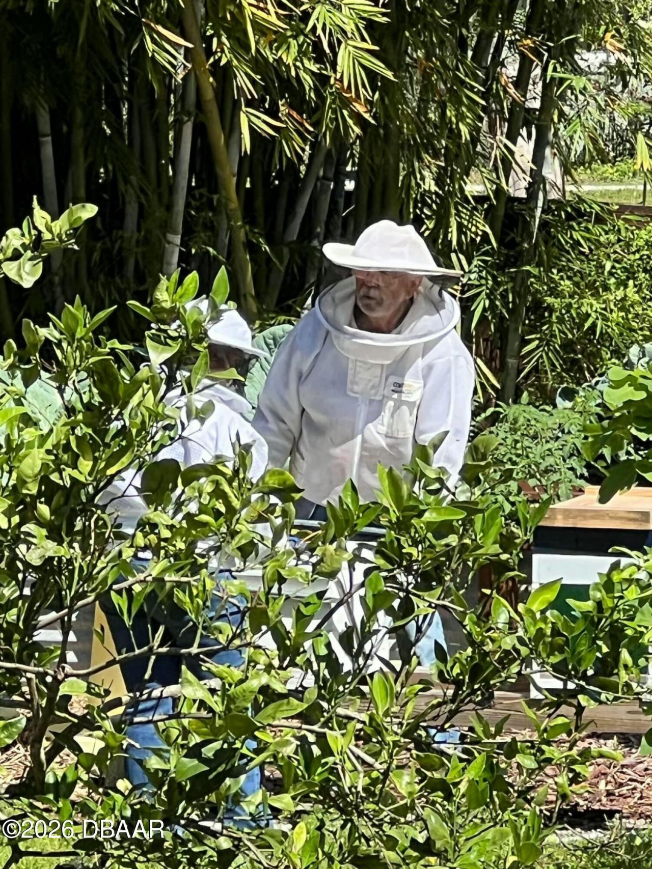 615 Art Center Avenue, New Smyrna Beach, FL 32168 Photo